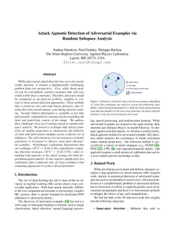 Attack Agnostic Detection of Adversarial Examples via Random Subspace
  Analysis