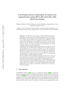 Uncertainty-driven refinement of tumor-core segmentation using 3D-to-2D
  networks with label uncertainty