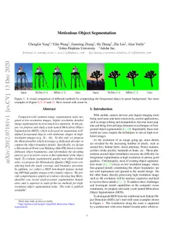 Meticulous Object Segmentation