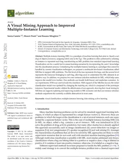A Visual Mining Approach to Improved Multiple-Instance Learning