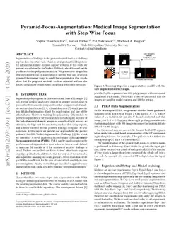 Pyramid-Focus-Augmentation: Medical Image Segmentation with Step-Wise
  Focus