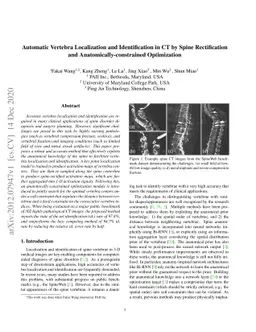 Automatic Vertebra Localization and Identification in CT by Spine
  Rectification and Anatomically-constrained Optimization