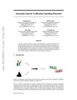 Automatic Speech Verification Spoofing Detection
