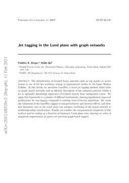 Jet tagging in the Lund plane with graph networks