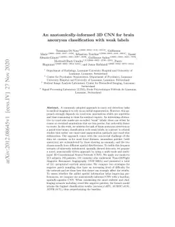 An anatomically-informed 3D CNN for brain aneurysm classification with
  weak labels