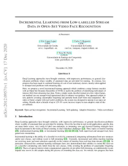 Incremental Learning from Low-labelled Stream Data in Open-Set Video
  Face Recognition