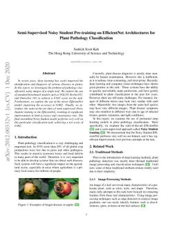 Semi-Supervised Noisy Student Pre-training on EfficientNet Architectures
  for Plant Pathology Classification