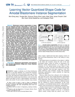 Learning Vector Quantized Shape Code for Amodal Blastomere Instance
  Segmentation