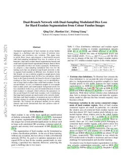 Dual-Branch Network with Dual-Sampling Modulated Dice Loss for Hard
  Exudate Segmentation from Colour Fundus Images