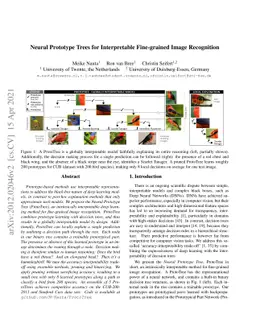 Neural Prototype Trees for Interpretable Fine-grained Image Recognition