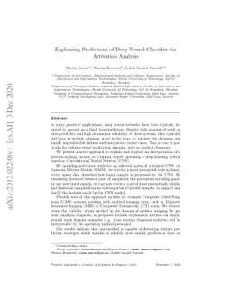 Explaining Predictions of Deep Neural Classifier via Activation Analysis