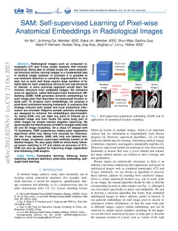 SAM: Self-supervised Learning of Pixel-wise Anatomical Embeddings in
  Radiological Images