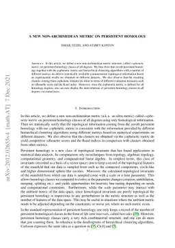 A New Non-archimedean Metric on Persistent Homology