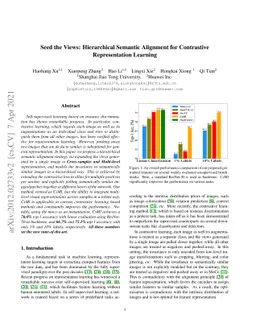 Seed the Views: Hierarchical Semantic Alignment for Contrastive
  Representation Learning