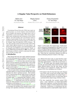 A Singular Value Perspective on Model Robustness