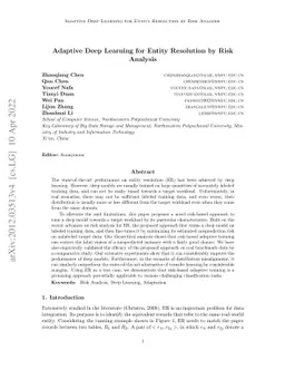 Adaptive Deep Learning for Entity Resolution by Risk Analysis