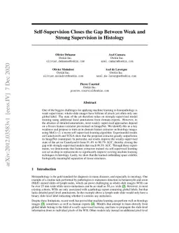 Self-Supervision Closes the Gap Between Weak and Strong Supervision in
  Histology