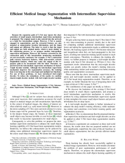 Efficient Medical Image Segmentation with Intermediate Supervision
  Mechanism