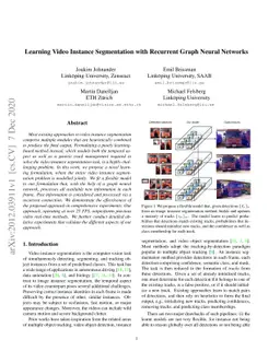 Learning Video Instance Segmentation with Recurrent Graph Neural
  Networks