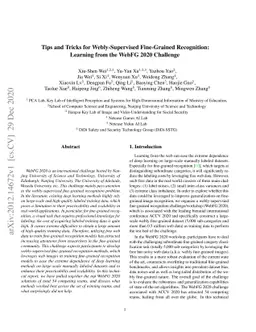 Tips and Tricks for Webly-Supervised Fine-Grained Recognition: Learning
  from the WebFG 2020 Challenge