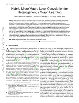 Hybrid Micro/Macro Level Convolution for Heterogeneous Graph Learning