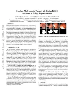 Medico Multimedia Task at MediaEval 2020: Automatic Polyp Segmentation