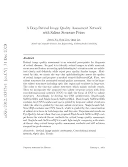 A Deep Retinal Image Quality Assessment Network with Salient Structure
  Priors