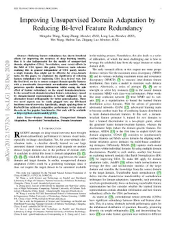 Improving Unsupervised Domain Adaptation by Reducing Bi-level Feature
  Redundancy