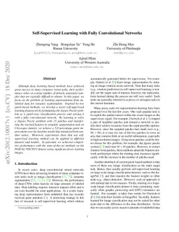 Self-supervised Learning with Fully Convolutional Networks
