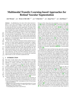 Multimodal Transfer Learning-based Approaches for Retinal Vascular
  Segmentation