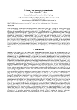 Self-supervised monocular depth estimation from oblique UAV videos