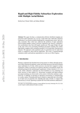 Rapid and High-Fidelity Subsurface Exploration with Multiple Aerial
  Robots