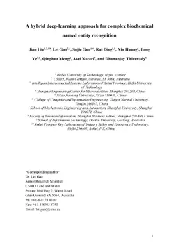 A hybrid deep-learning approach for complex biochemical named entity
  recognition
