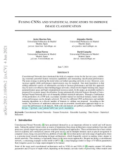 Fusing CNNs and statistical indicators to improve image classification