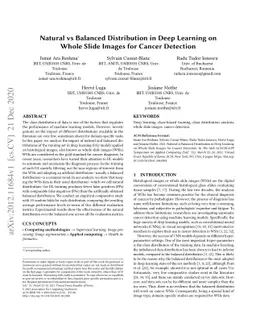Natural vs Balanced Distribution in Deep Learning on Whole Slide Images
  for Cancer Detection