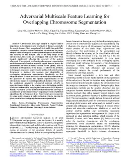 Adversarial Multiscale Feature Learning for Overlapping Chromosome
  Segmentation