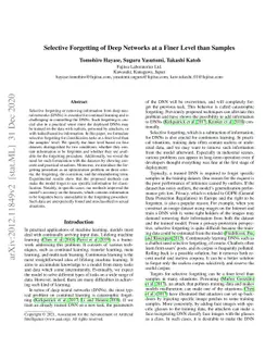 Selective Forgetting of Deep Networks at a Finer Level than Samples