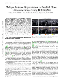 Multiple Instance Segmentation in Brachial Plexus Ultrasound Image Using
  BPMSegNet