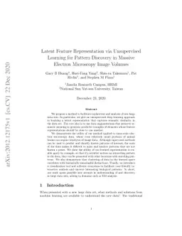 Latent Feature Representation via Unsupervised Learning for Pattern
  Discovery in Massive Electron Microscopy Image Volumes