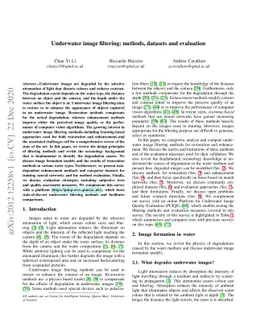 Underwater image filtering: methods, datasets and evaluation