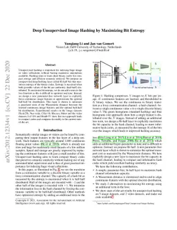 Deep Unsupervised Image Hashing by Maximizing Bit Entropy