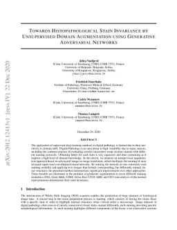 Towards Histopathological Stain Invariance by Unsupervised Domain
  Augmentation using Generative Adversarial Networks