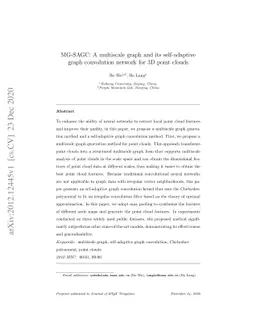 MG-SAGC: A multiscale graph and its self-adaptive graph convolution
  network for 3D point clouds
