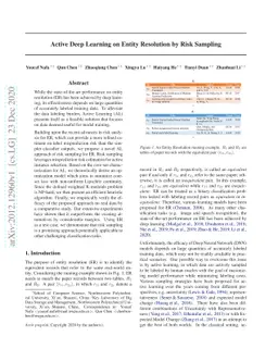 Active Deep Learning on Entity Resolution by Risk Sampling