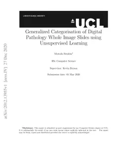 Generalized Categorisation of Digital Pathology Whole Image Slides using
  Unsupervised Learning