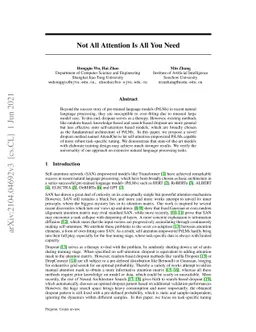 Not All Attention Is All You Need