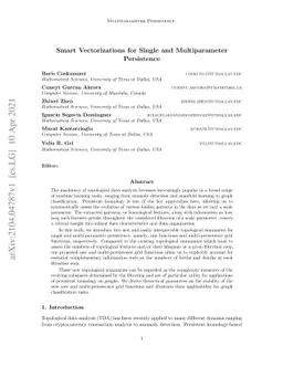 Smart Vectorizations for Single and Multiparameter Persistence