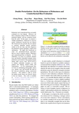 Double Perturbation: On the Robustness of Robustness and Counterfactual
  Bias Evaluation