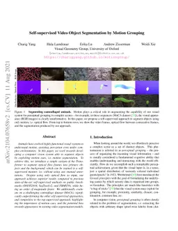 Self-supervised Video Object Segmentation by Motion Grouping