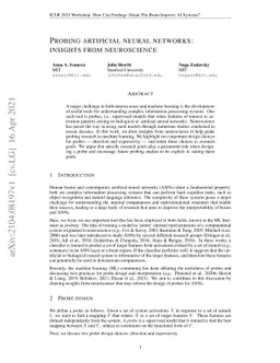 Probing artificial neural networks: insights from neuroscience